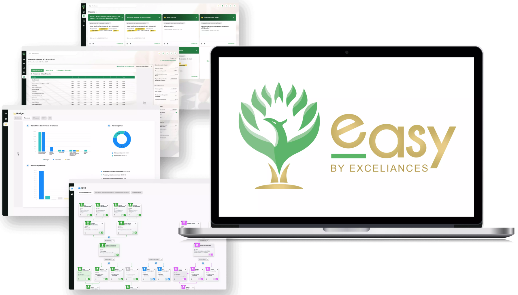 Interface Easy by Exceliances - Logiciel de gestion patrimoniale avec tableaux de bord et analytics pour conseillers en patrimoine